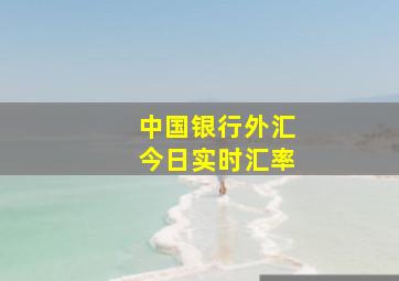 中国银行外汇今日实时汇率