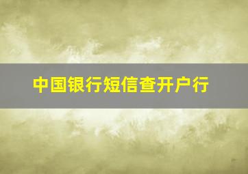 中国银行短信查开户行