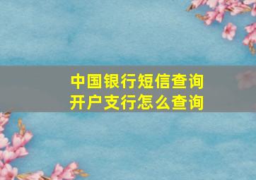 中国银行短信查询开户支行怎么查询