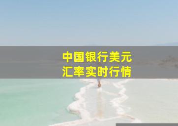 中国银行美元汇率实时行情