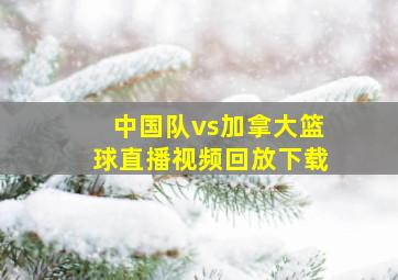 中国队vs加拿大篮球直播视频回放下载