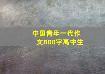 中国青年一代作文800字高中生