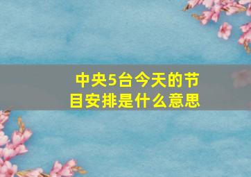 中央5台今天的节目安排是什么意思