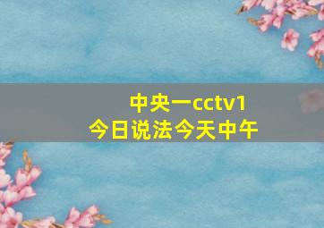 中央一cctv1今日说法今天中午