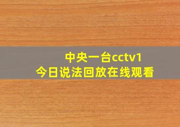 中央一台cctv1今日说法回放在线观看