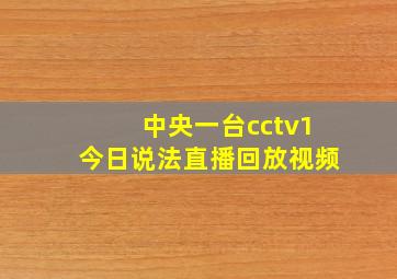 中央一台cctv1今日说法直播回放视频