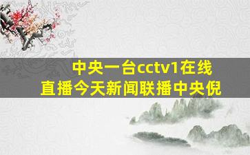 中央一台cctv1在线直播今天新闻联播中央倪