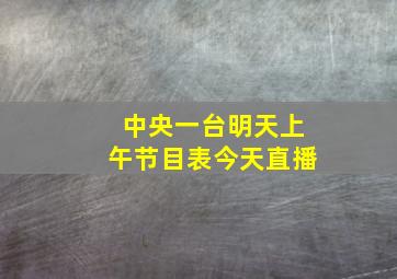 中央一台明天上午节目表今天直播