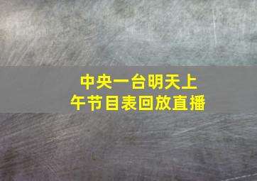 中央一台明天上午节目表回放直播