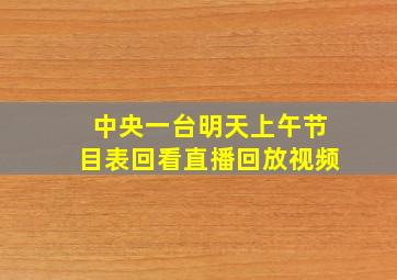 中央一台明天上午节目表回看直播回放视频