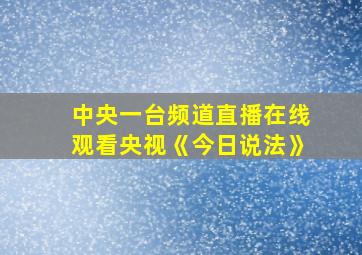 中央一台频道直播在线观看央视《今日说法》