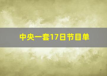 中央一套17日节目单