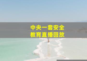 中央一套安全教育直播回放