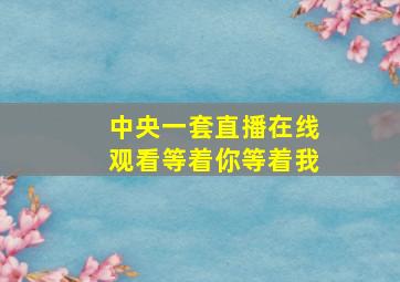 中央一套直播在线观看等着你等着我