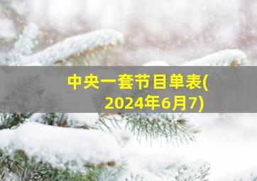 中央一套节目单表(2024年6月7)