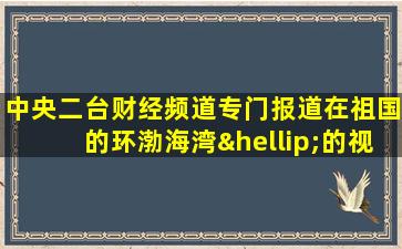 中央二台财经频道专门报道在祖国的环渤海湾…的视频