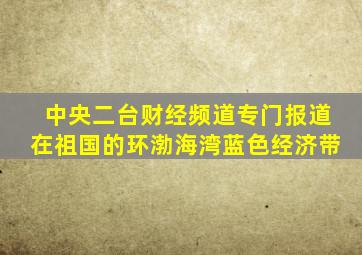 中央二台财经频道专门报道在祖国的环渤海湾蓝色经济带