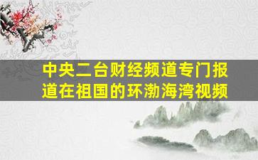 中央二台财经频道专门报道在祖国的环渤海湾视频