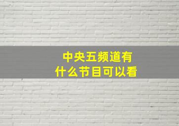 中央五频道有什么节目可以看