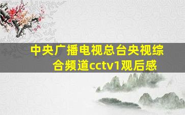 中央广播电视总台央视综合频道cctv1观后感