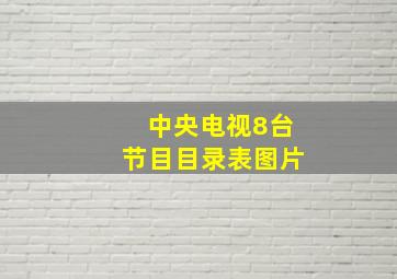 中央电视8台节目目录表图片