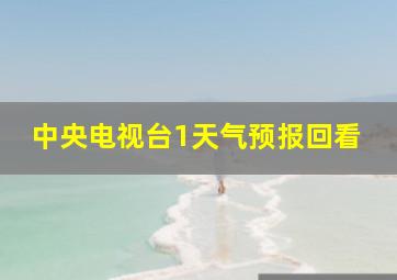 中央电视台1天气预报回看