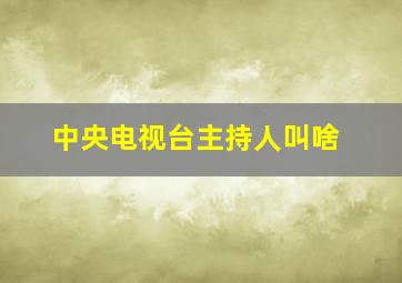 中央电视台主持人叫啥