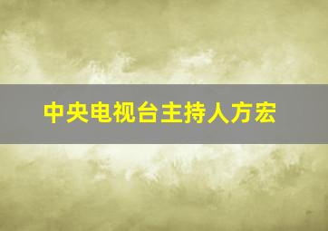 中央电视台主持人方宏