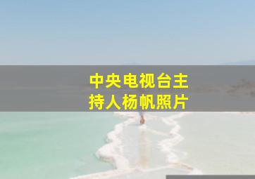 中央电视台主持人杨帆照片