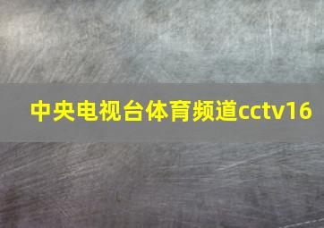 中央电视台体育频道cctv16