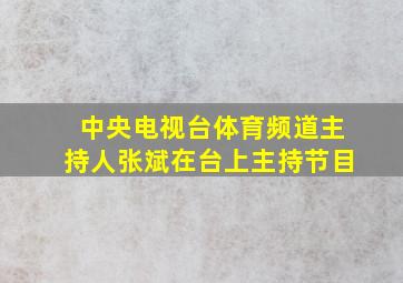 中央电视台体育频道主持人张斌在台上主持节目