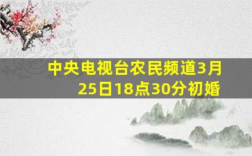 中央电视台农民频道3月25日18点30分初婚