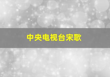 中央电视台宋歌