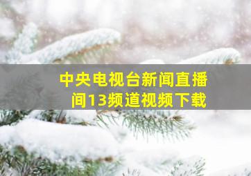 中央电视台新闻直播间13频道视频下载