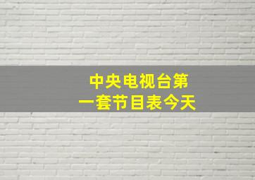 中央电视台第一套节目表今天