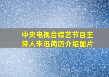 中央电视台综艺节目主持人朱迅简历介绍图片