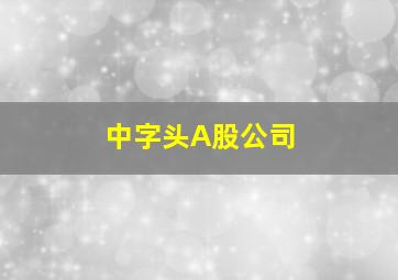 中字头A股公司