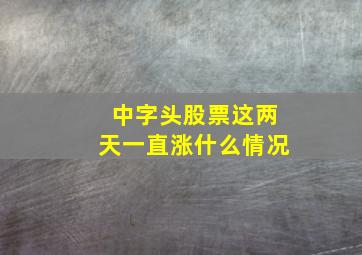 中字头股票这两天一直涨什么情况