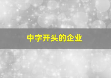 中字开头的企业