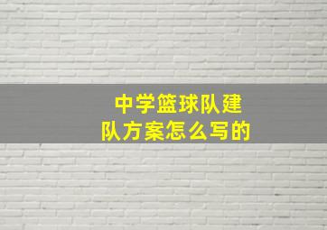 中学篮球队建队方案怎么写的