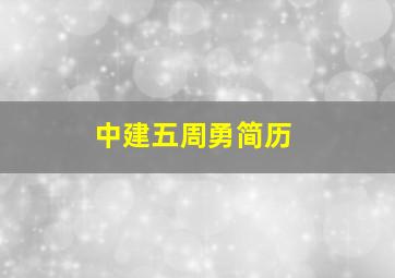 中建五周勇简历