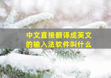 中文直接翻译成英文的输入法软件叫什么