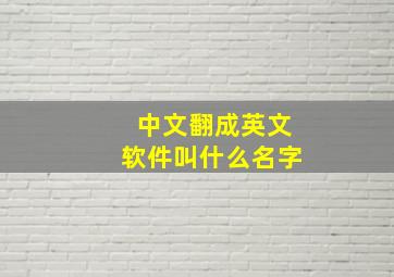 中文翻成英文软件叫什么名字