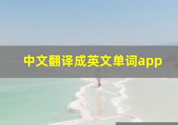 中文翻译成英文单词app