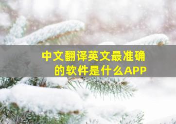 中文翻译英文最准确的软件是什么APP