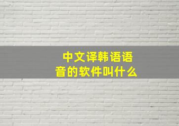 中文译韩语语音的软件叫什么