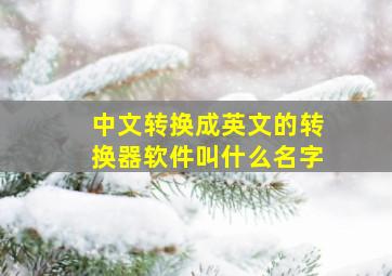 中文转换成英文的转换器软件叫什么名字