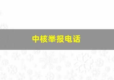 中核举报电话