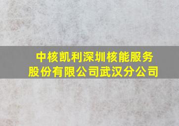 中核凯利深圳核能服务股份有限公司武汉分公司