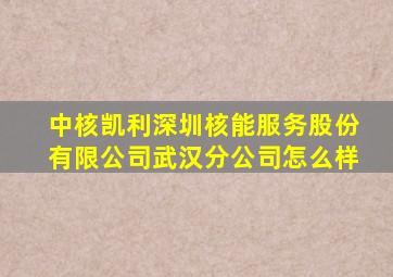 中核凯利深圳核能服务股份有限公司武汉分公司怎么样